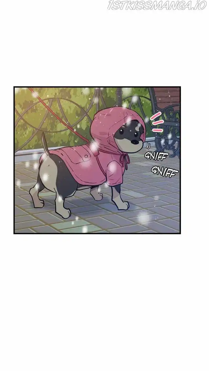Protect Me, Knight Chapter 59 39